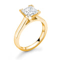 4 Prong Elegance Princess Cut Diamond Ring - Diamonds Are For Everyone