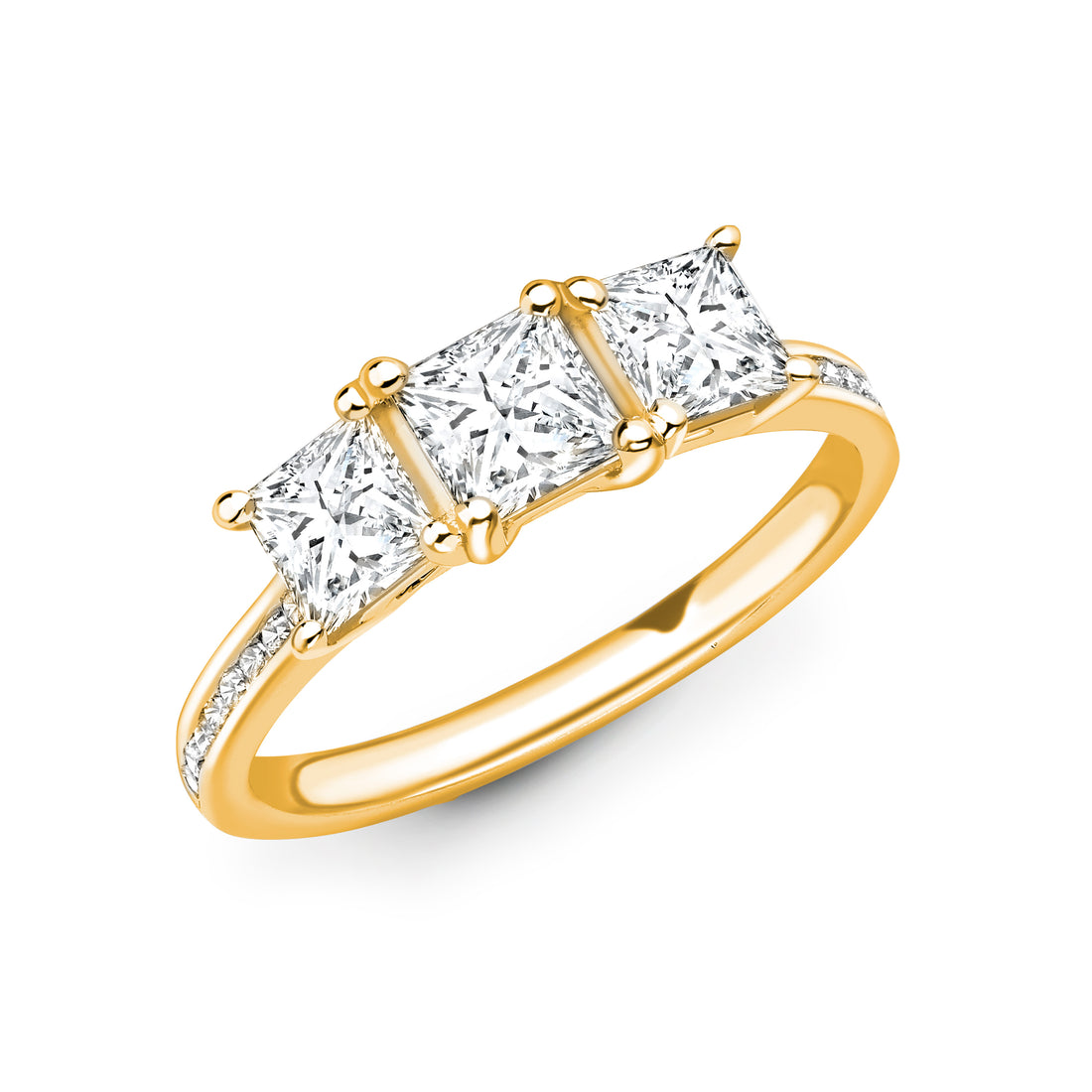 Princess Cut Three Stone With Side Stone Abundance Diamond Ring